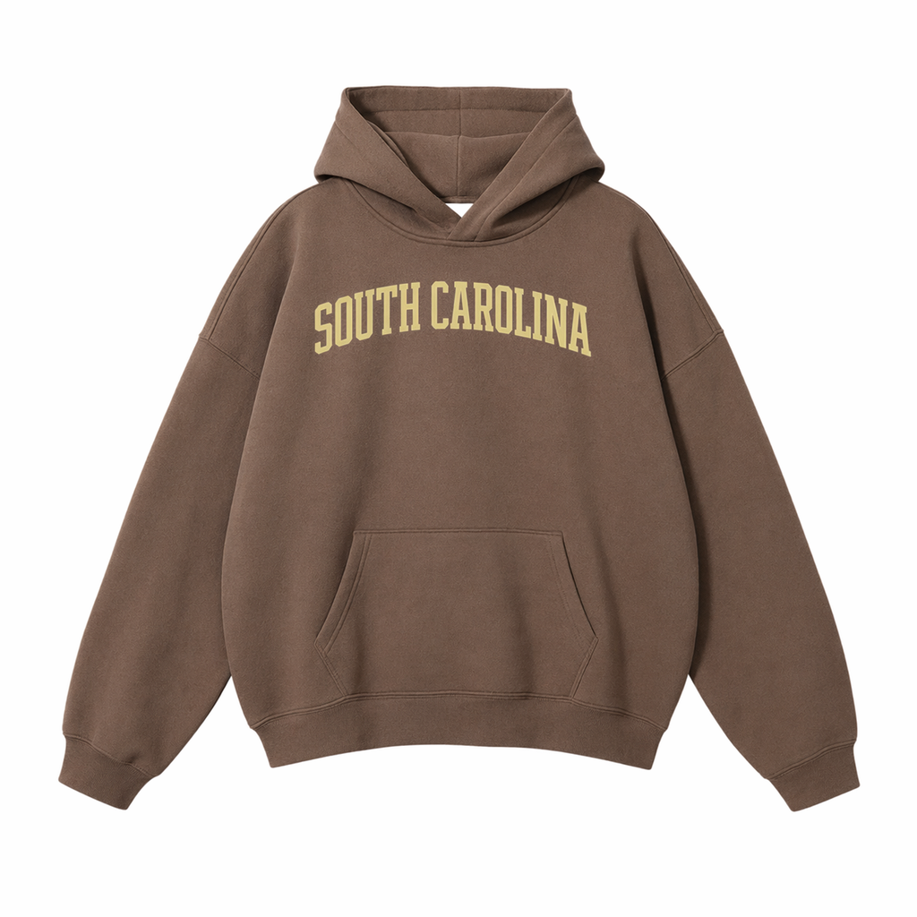 Collection 1 South Carolina Oversize Fleeced Hoodie - Brown front
