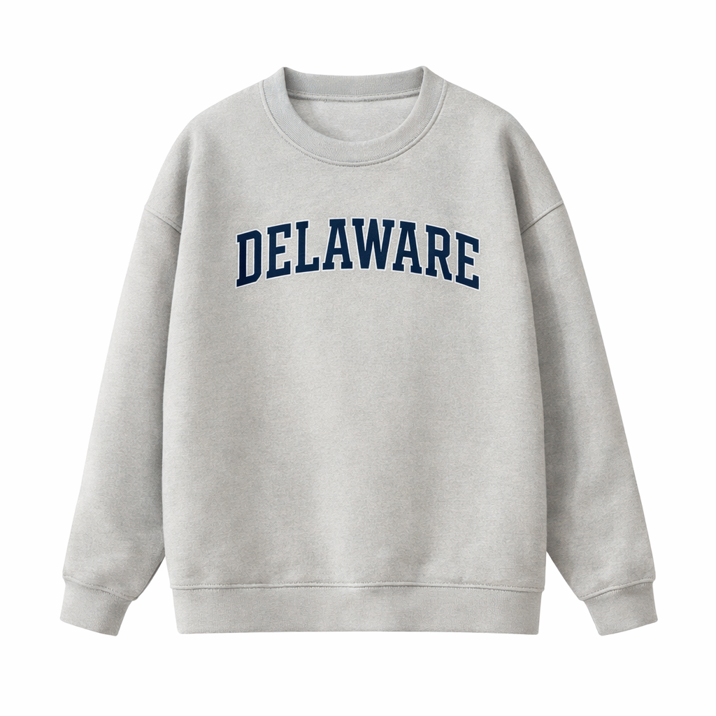Collection 1 Delaware Essential Heavyweight Crewneck Sweatshirt - Gray front