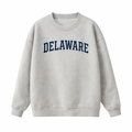 Collection 1 Delaware Essential Heavyweight Crewneck Sweatshirt - Gray front