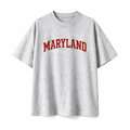 Collection 1 Maryland Essential Cotton T-Shirt - White Gray front