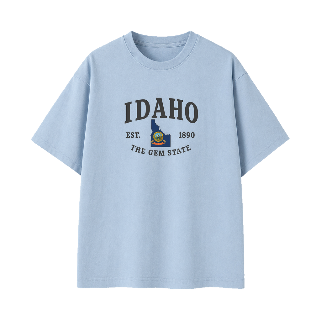 Collection 8 Idaho Essential Cotton T-Shirt - Light Blue front