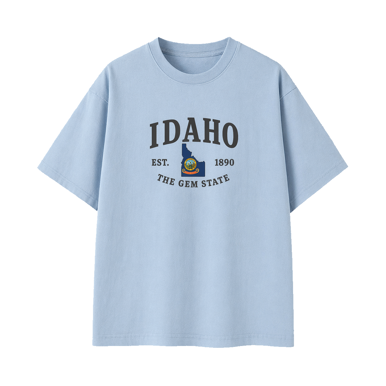 Collection 8 Idaho Essential Cotton T-Shirt - Light Blue front