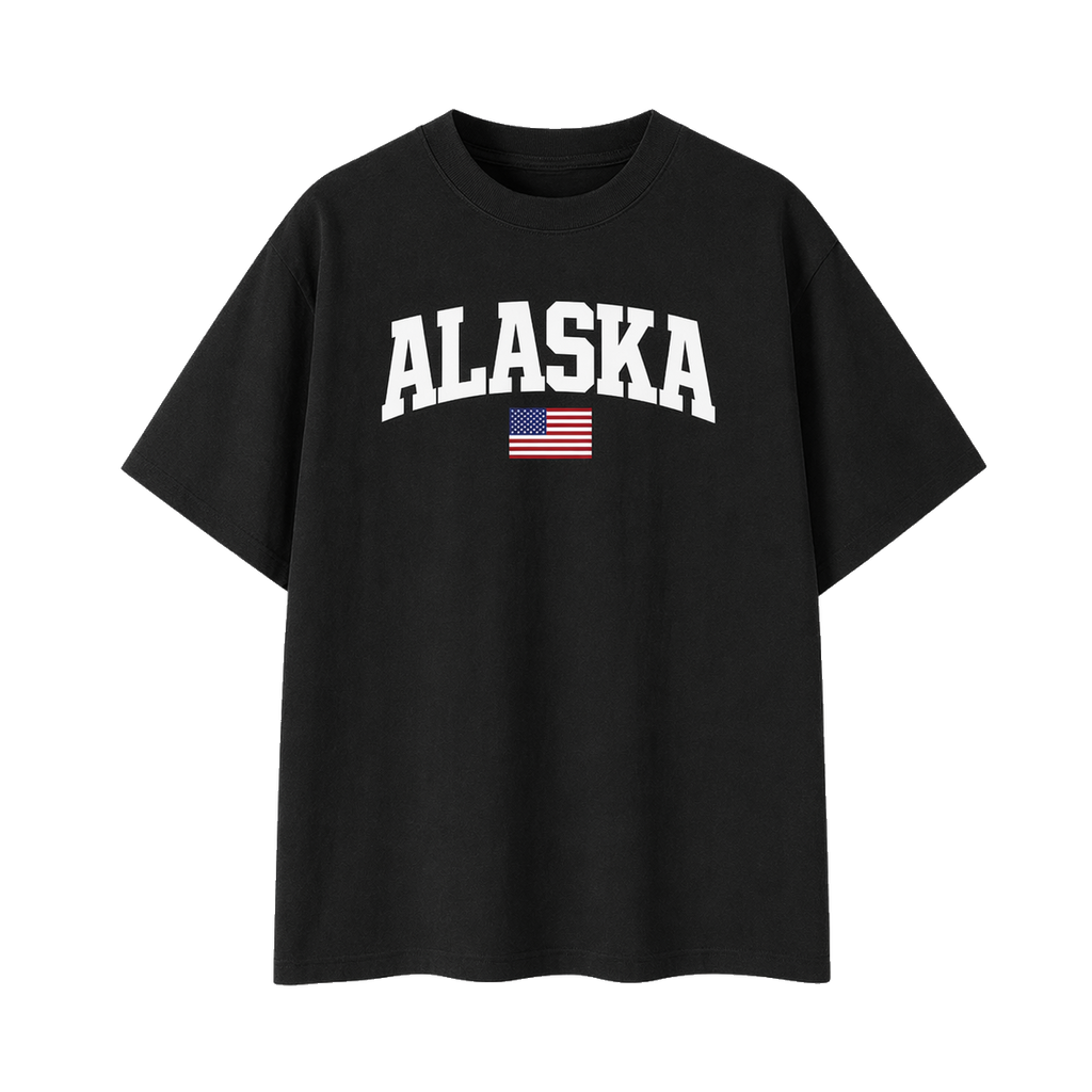 Collection 2 Alaska Essential Cotton T-Shirt - Black front