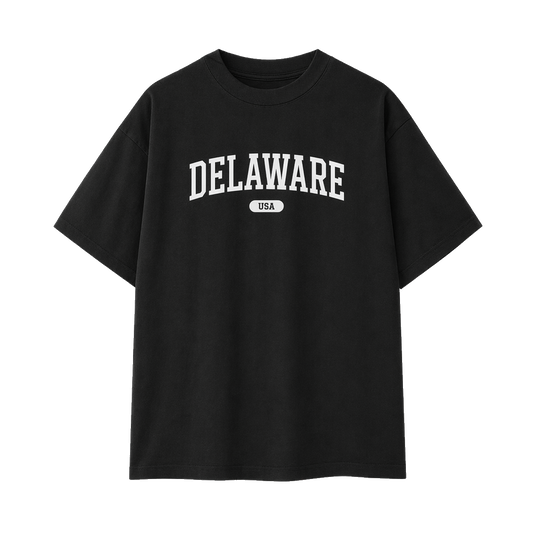 Collection 4 Delaware Essential Cotton T-Shirt - Black front