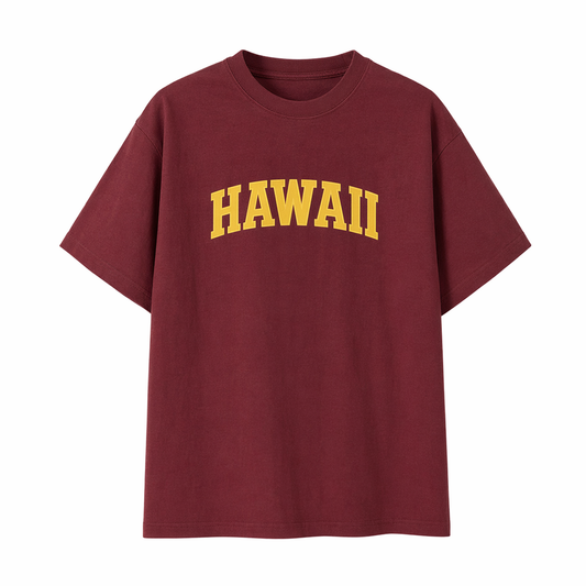 Collection 1 Hawaii Essential Cotton T-Shirt - Wine Gray front
