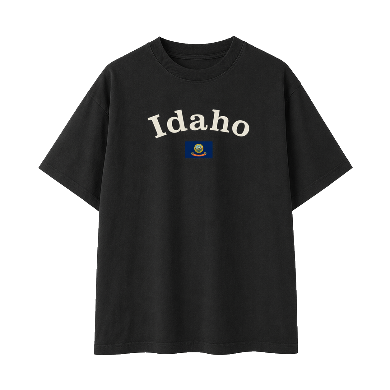 Collection 6 Idaho Essential Cotton T-Shirt - Black front