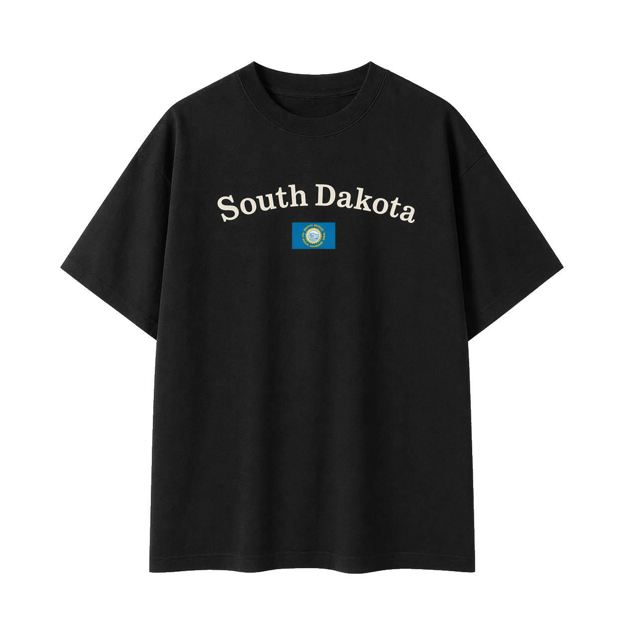 Collection 6 South Dakota Essential Cotton T-Shirt - Black front