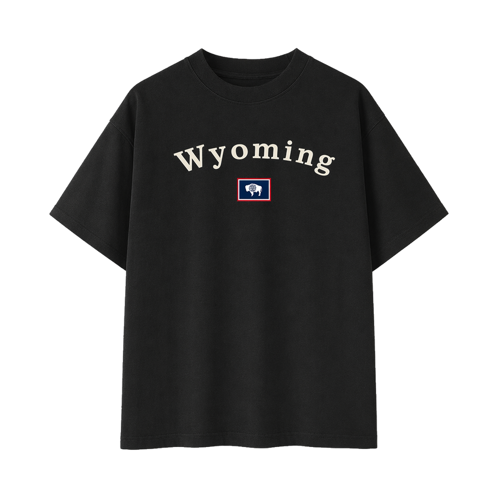 Collection 6 Wyoming Essential Cotton T-Shirt - Black front
