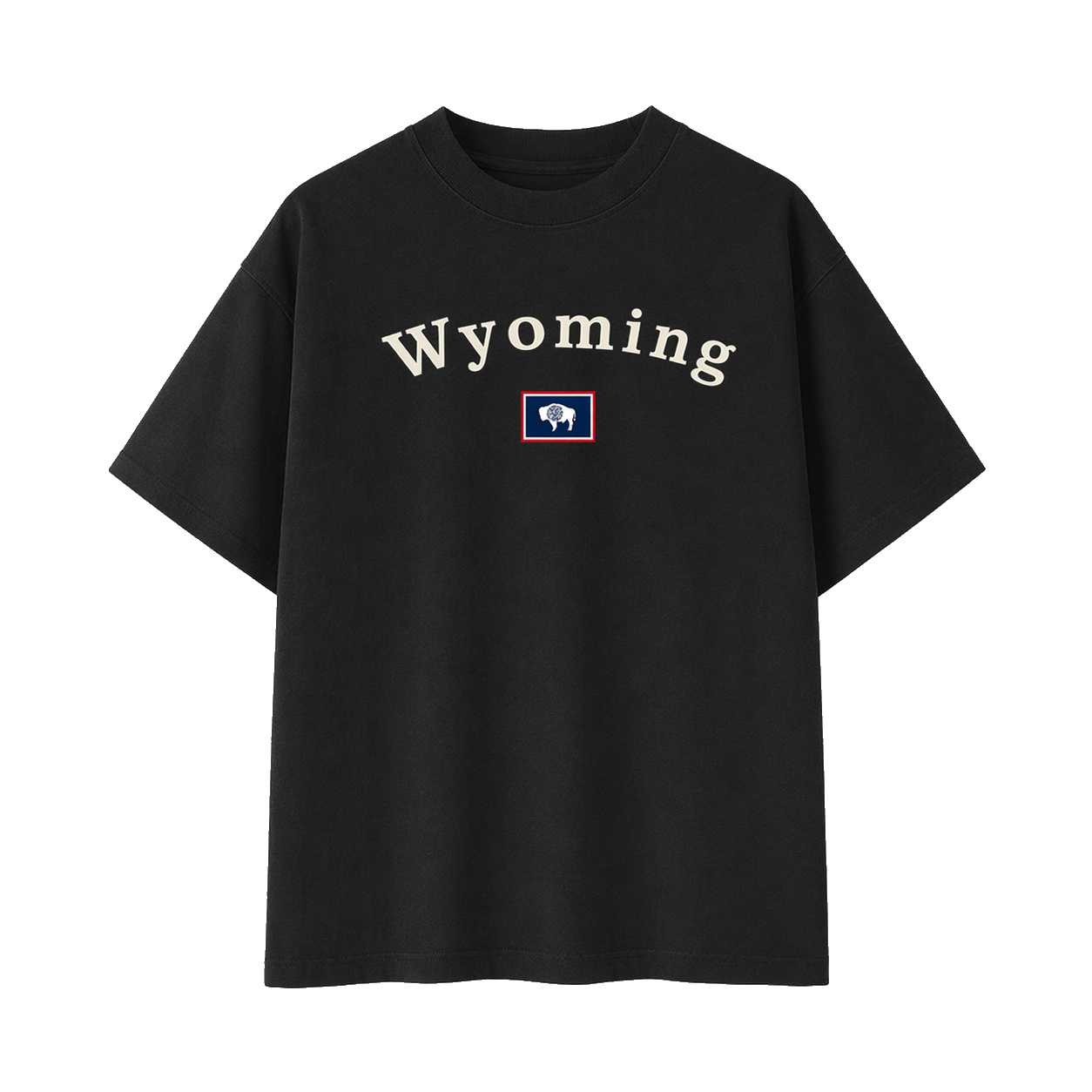 Collection 6 Wyoming Essential Cotton T-Shirt - Black front