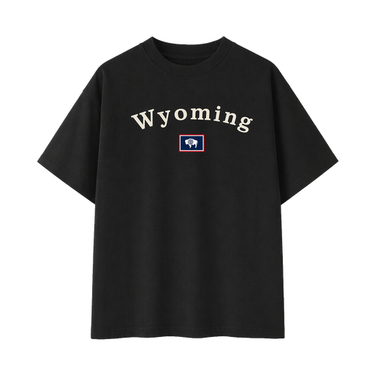 Collection 6 Wyoming Essential Cotton T-Shirt - Black front