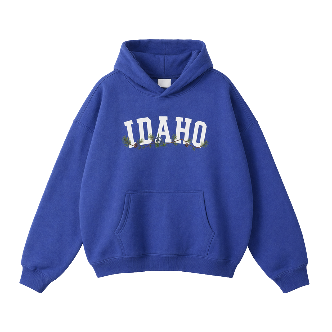 Collection 10 Idaho Oversize Fleeced Hoodie - Klein Blue front