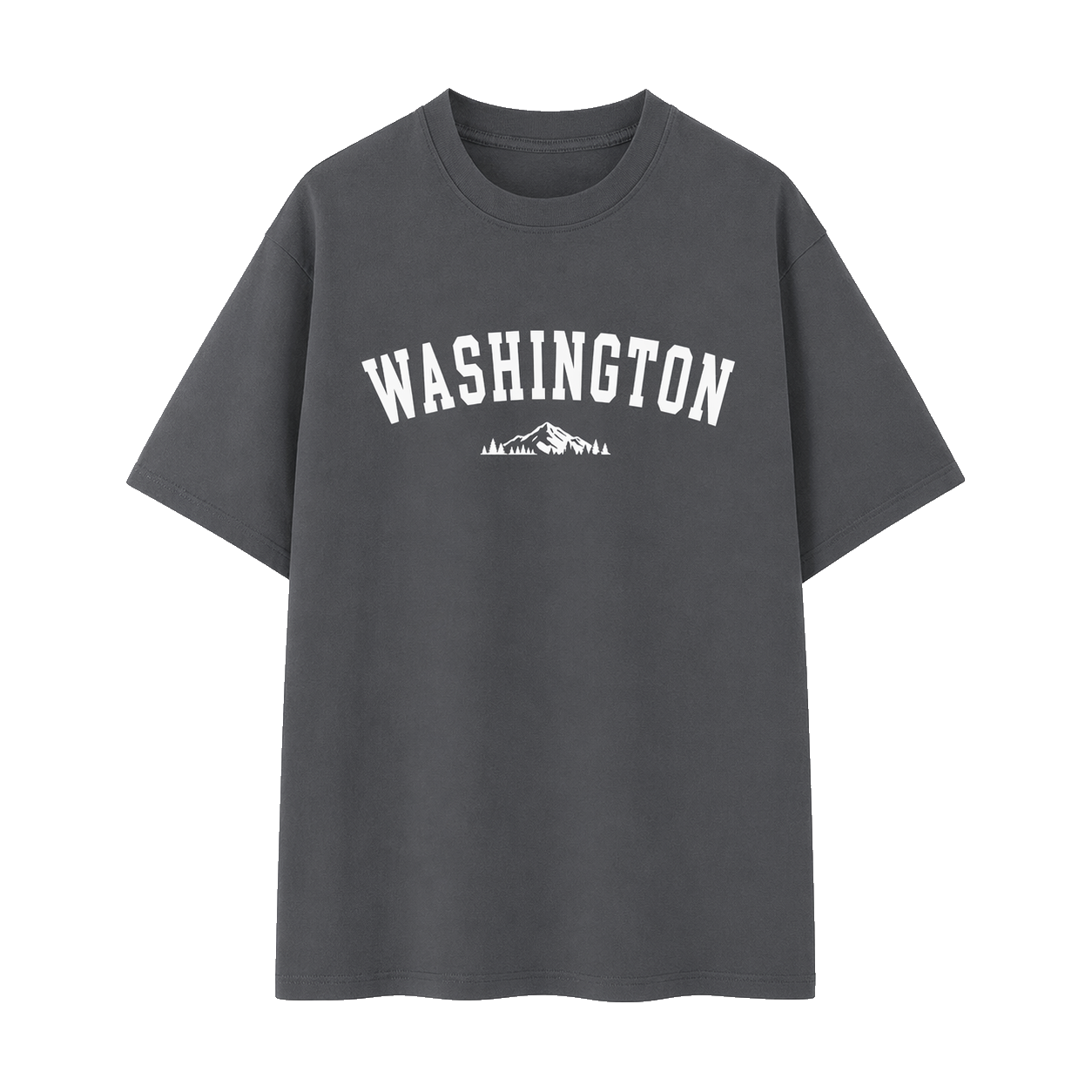 Collection 9 Washington Essential Cotton T-Shirt - Dark Gray front