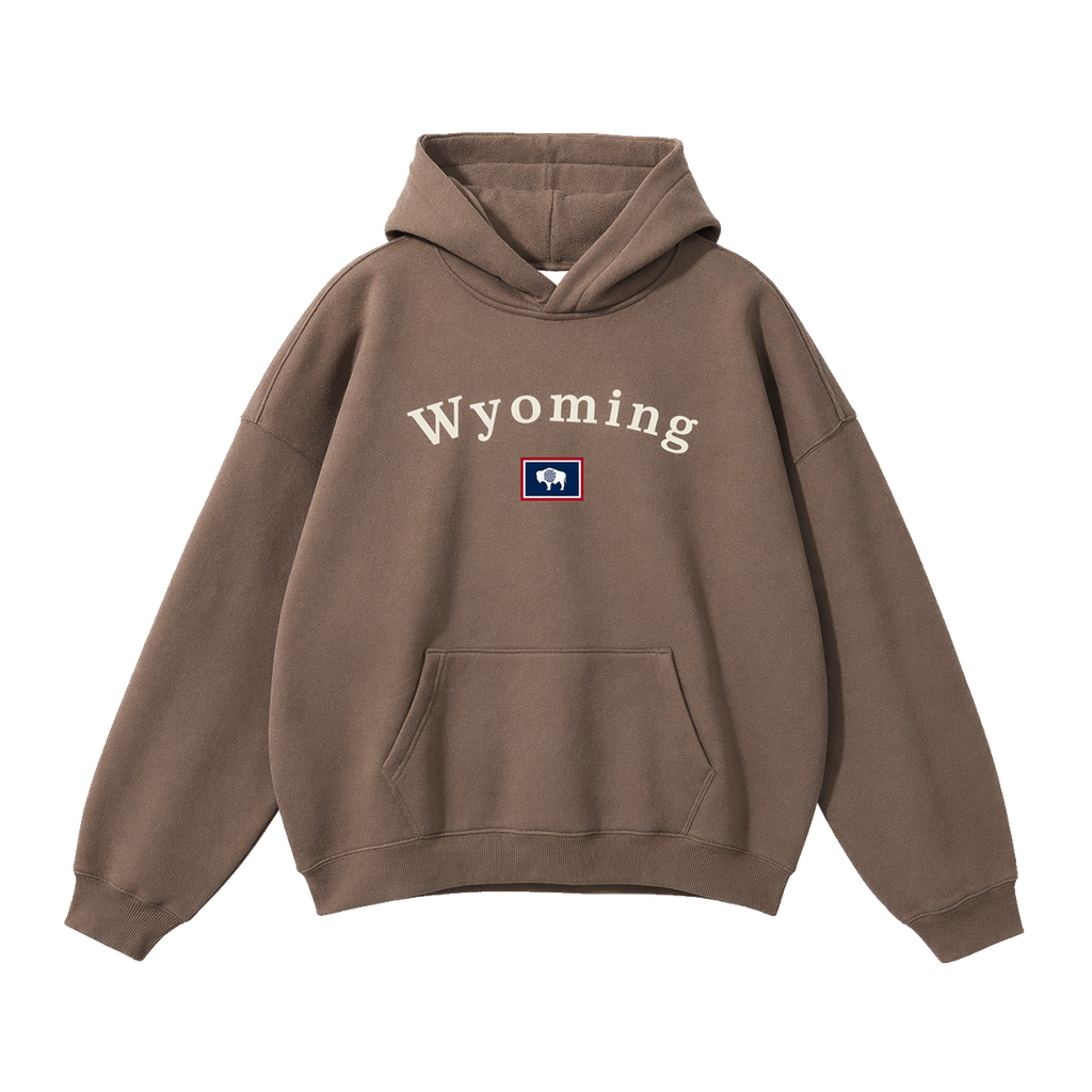 Collection 6 Wyoming Oversize Fleeced Hoodie - Brown front
