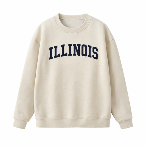 Collection 1 Illinois Essential Heavyweight Crewneck Sweatshirt - Cream front