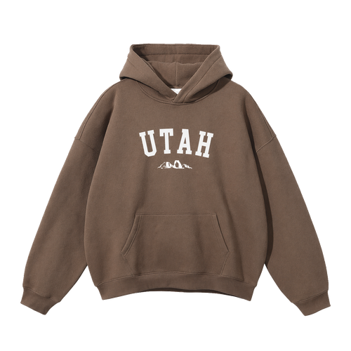 Collection 9 Utah Oversize Fleeced Hoodie - Brown front