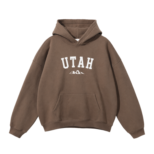 Collection 9 Utah Oversize Fleeced Hoodie - Brown front