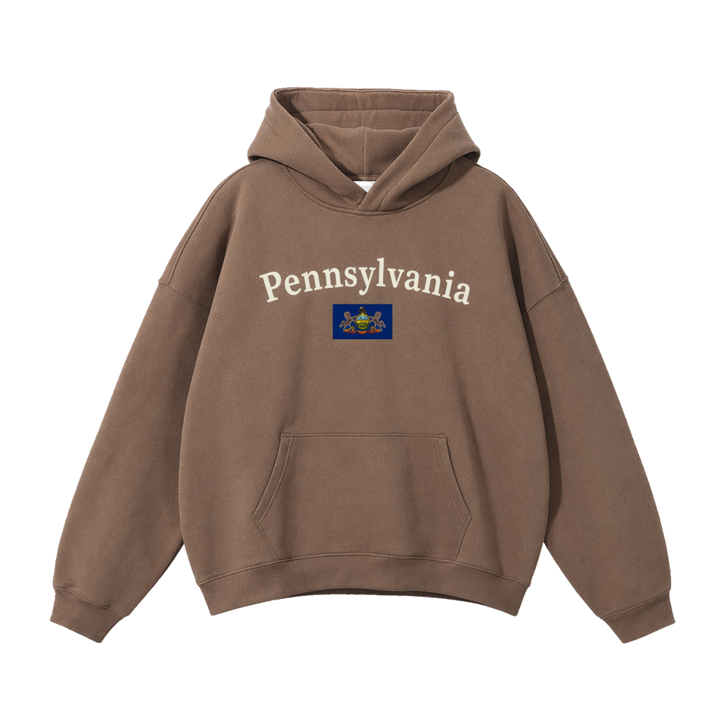 Collection 6 Pennsylvania Oversize Fleeced Hoodie - Brown front