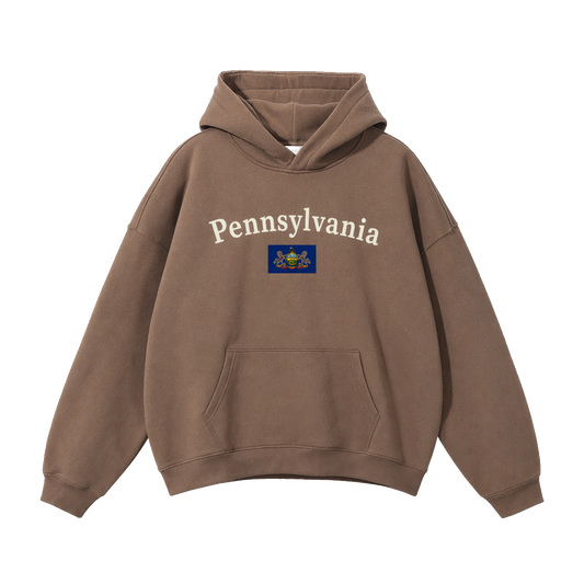 Collection 6 Pennsylvania Oversize Fleeced Hoodie - Brown front