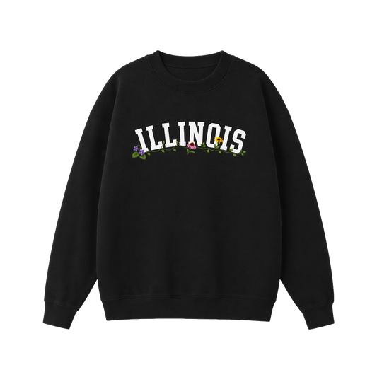 Collection 10 Illinois Essential Heavyweight Crewneck Sweatshirt - Black front