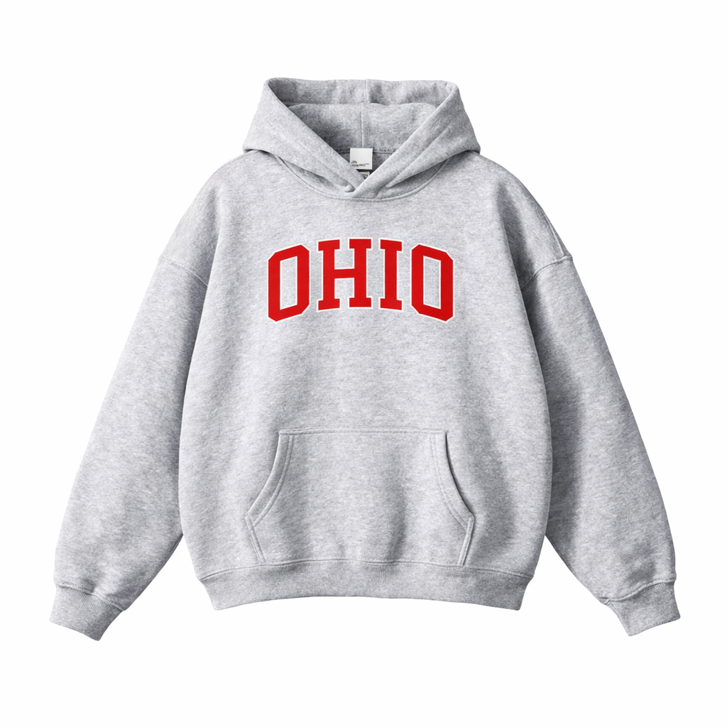 Collection 1 Ohio Oversize Fleeced Hoodie - Flower Gray front
