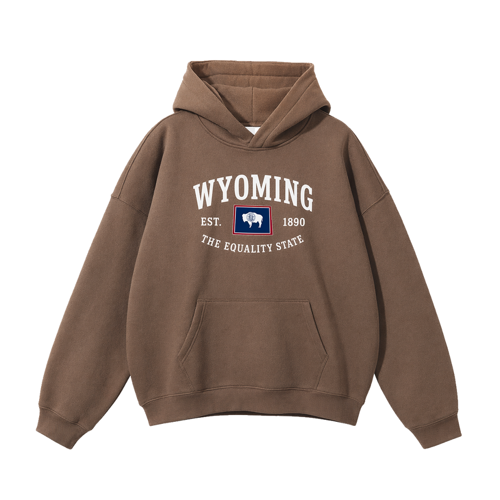 Collection 8 Wyoming Oversize Fleeced Hoodie - Brown front