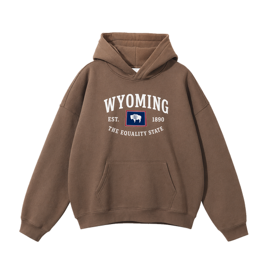 Collection 8 Wyoming Oversize Fleeced Hoodie - Brown front