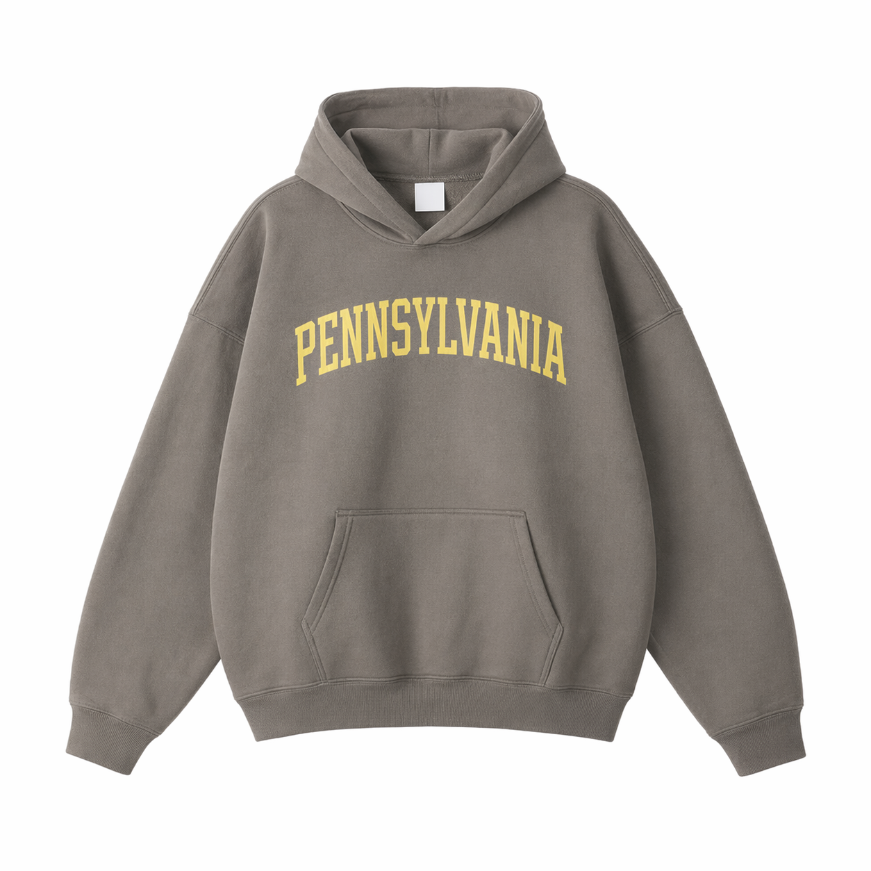Collection 1 Pennsylvania Oversize Fleeced Hoodie - Gray Coffee front