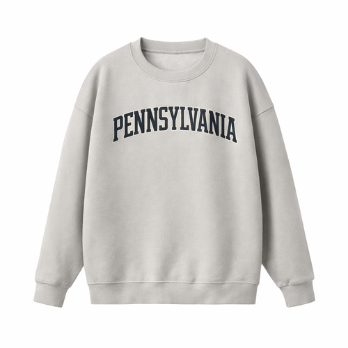 Collection 1 Pennsylvania Essential Heavyweight Crewneck Sweatshirt - Gray front