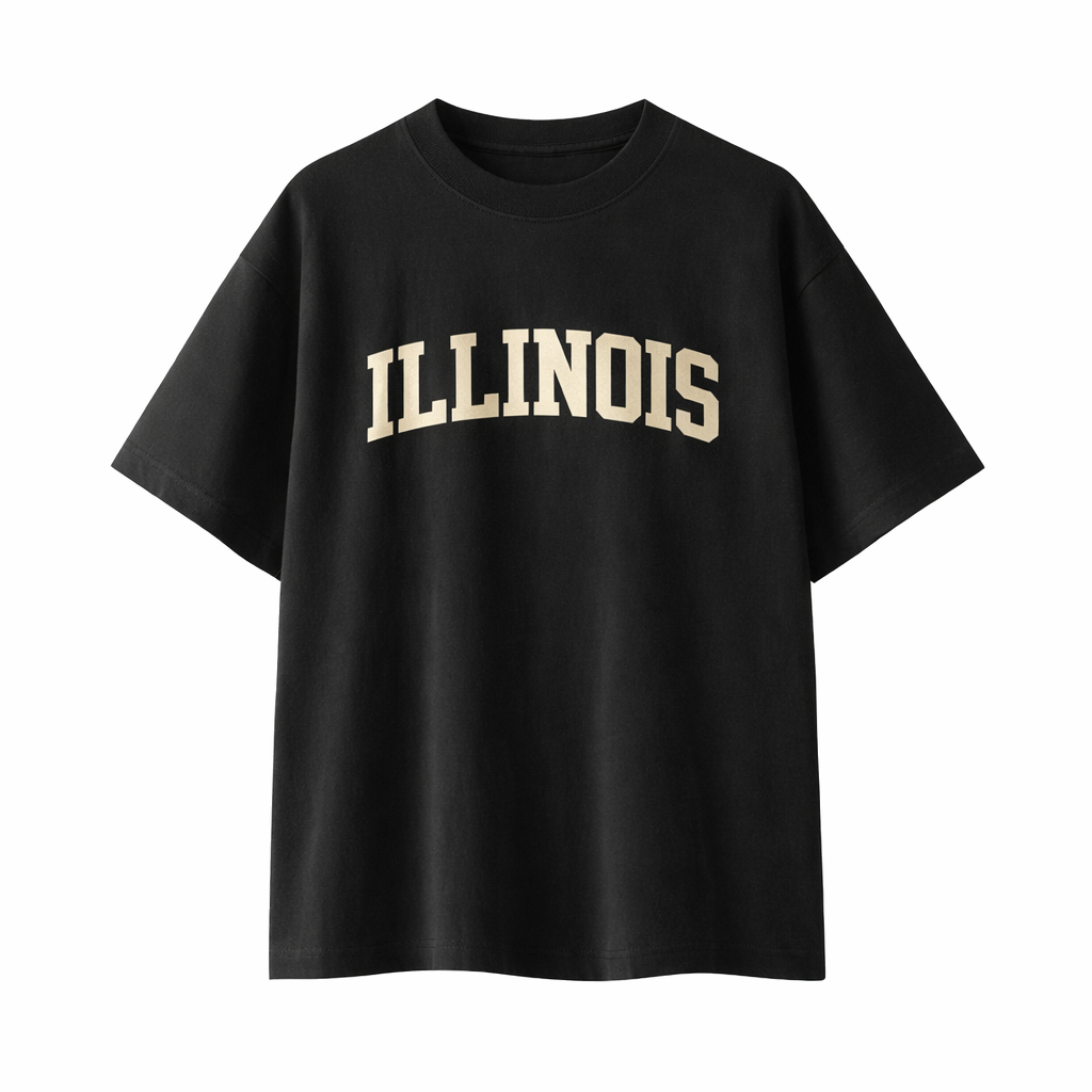 Collection 1 Illinois Essential Cotton T-Shirt - Black front