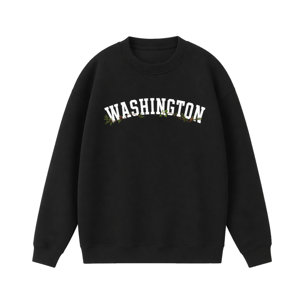 Collection 10 Washington Essential Heavyweight Crewneck Sweatshirt - Black front