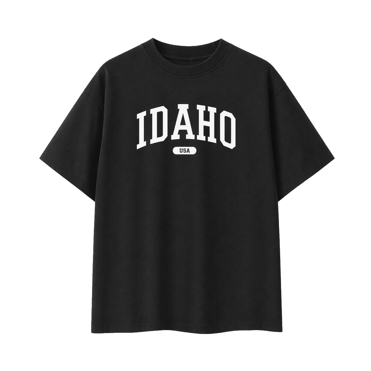 Collection 4 Idaho Essential Cotton T-Shirt - Black front