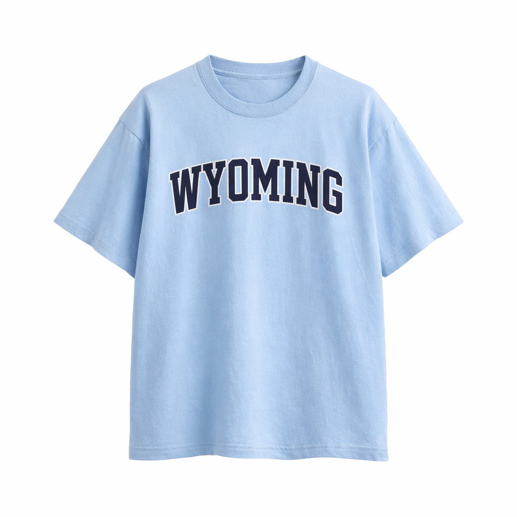 Collection 1 Wyoming Essential Cotton T-Shirt - Light Blue front