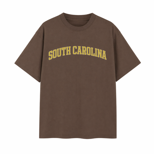Collection 1 South Carolina Essential Cotton T-Shirt - Coffee front