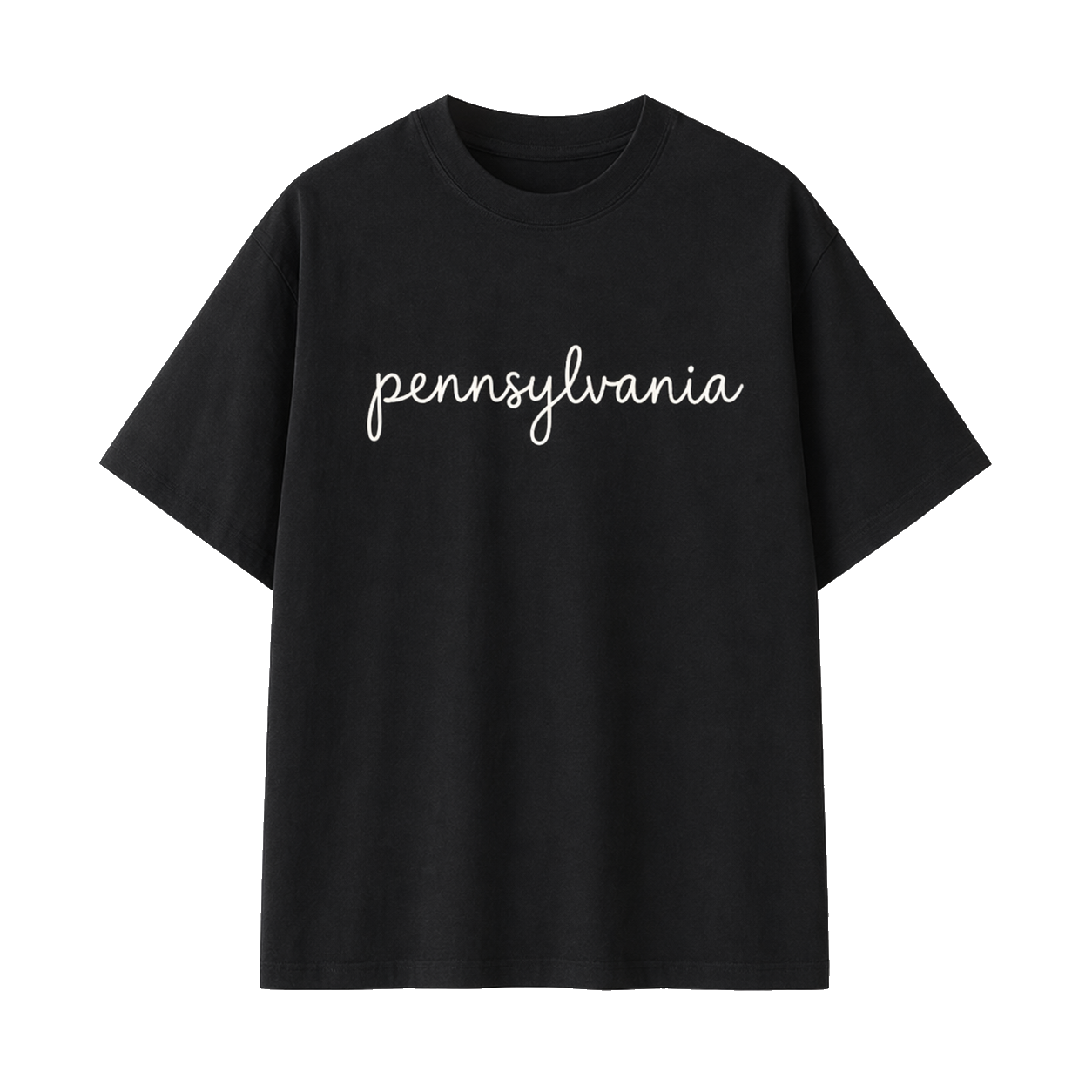 Collection 3 Pennsylvania Essential Cotton T-Shirt - Black front