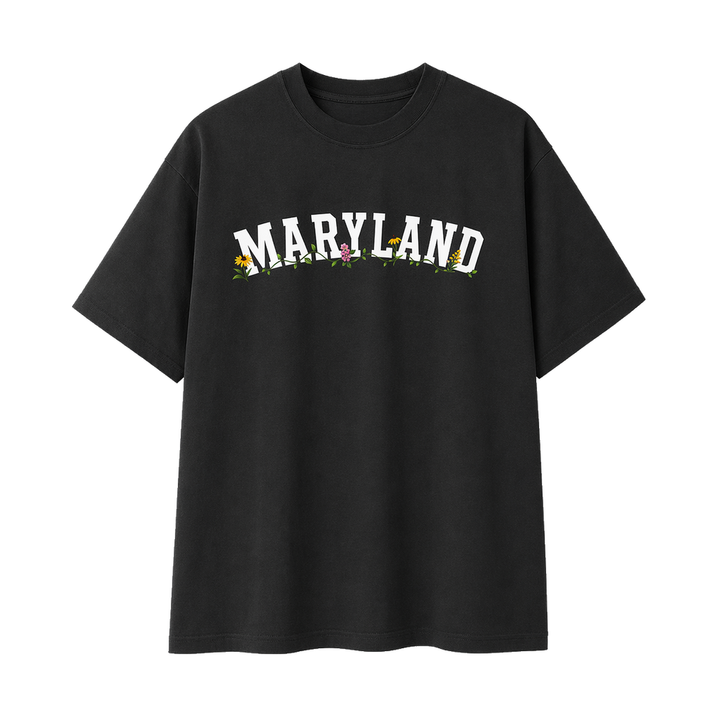 Collection 10 Maryland Essential Cotton T-Shirt - Black front