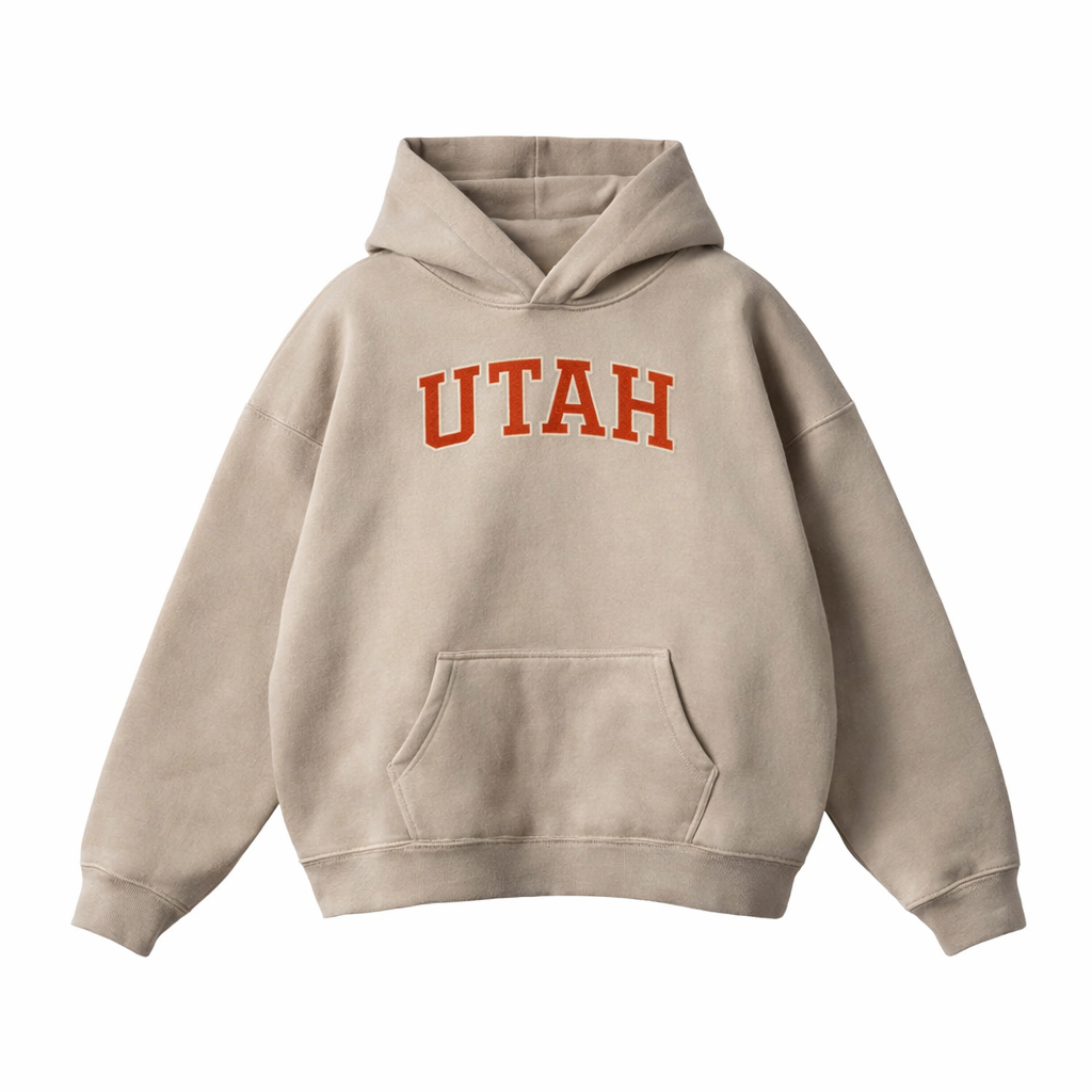 Collection 1 Utah Oversize Fleeced Hoodie - Gray Apricot front