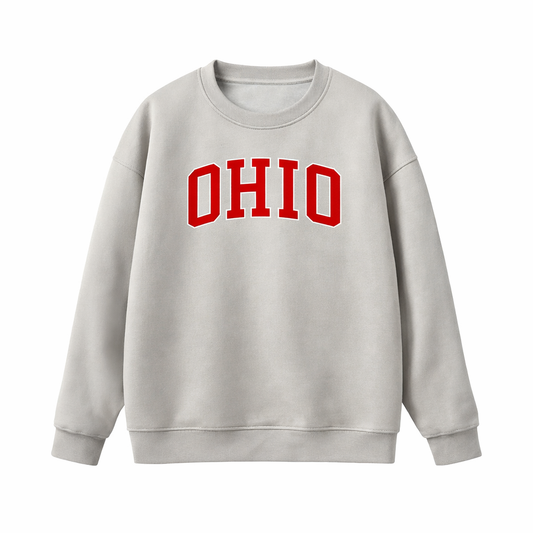 Collection 1 Ohio Essential Heavyweight Crewneck Sweatshirt - Gray front