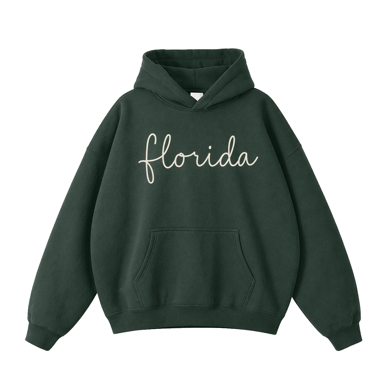 Collection 3 Florida Oversize Fleeced Hoodie - Eden Green front
