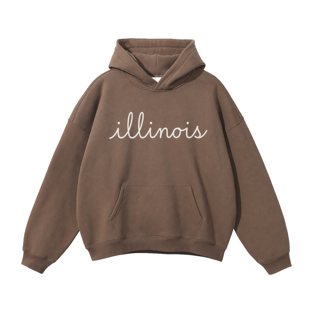 Collection 3 Illinois Oversize Fleeced Hoodie - Brown front