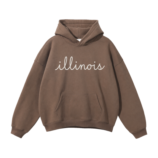 Collection 3 Illinois Oversize Fleeced Hoodie - Brown front
