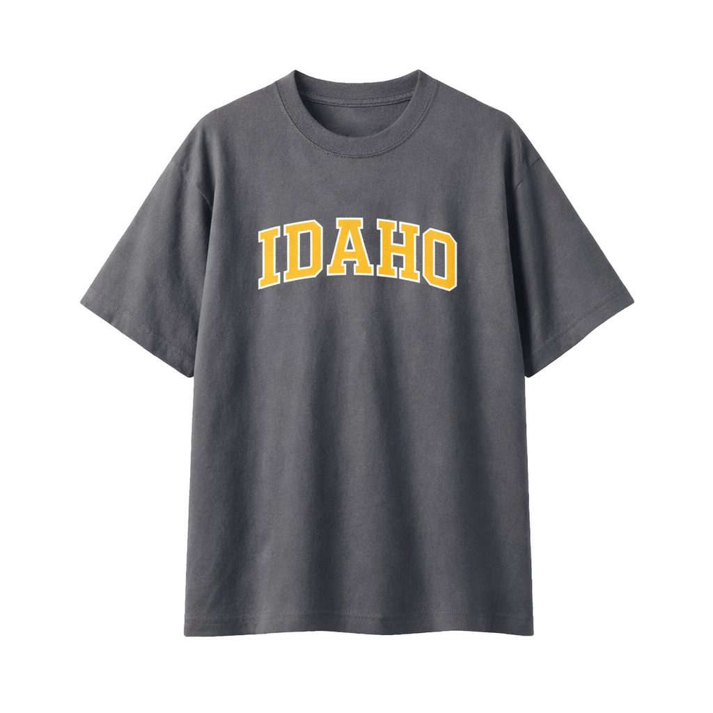 Collection 1 Idaho Essential Cotton T-Shirt - Dark Gray front