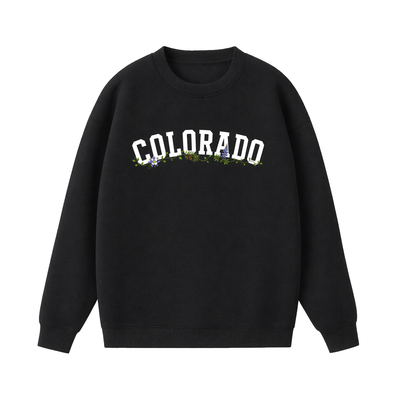 Collection 10 Colorado Essential Heavyweight Crewneck Sweatshirt - Black front