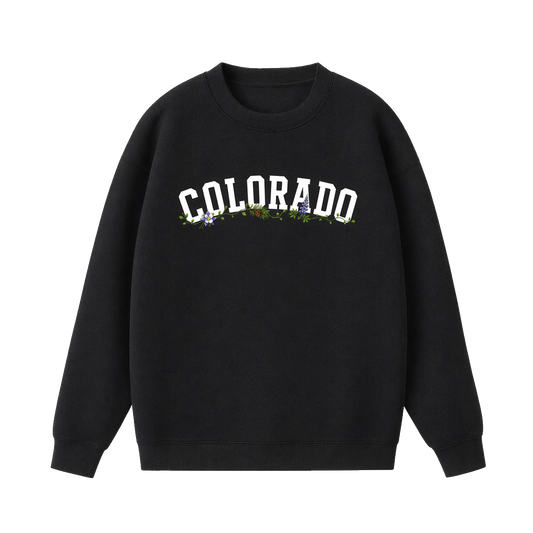 Collection 10 Colorado Essential Heavyweight Crewneck Sweatshirt - Black front