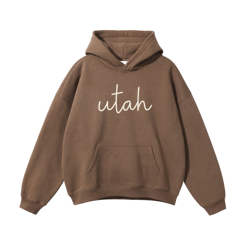 Collection 3 Utah Oversize Fleeced Hoodie - Brown front