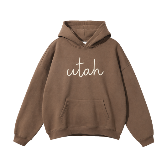 Collection 3 Utah Oversize Fleeced Hoodie - Brown front