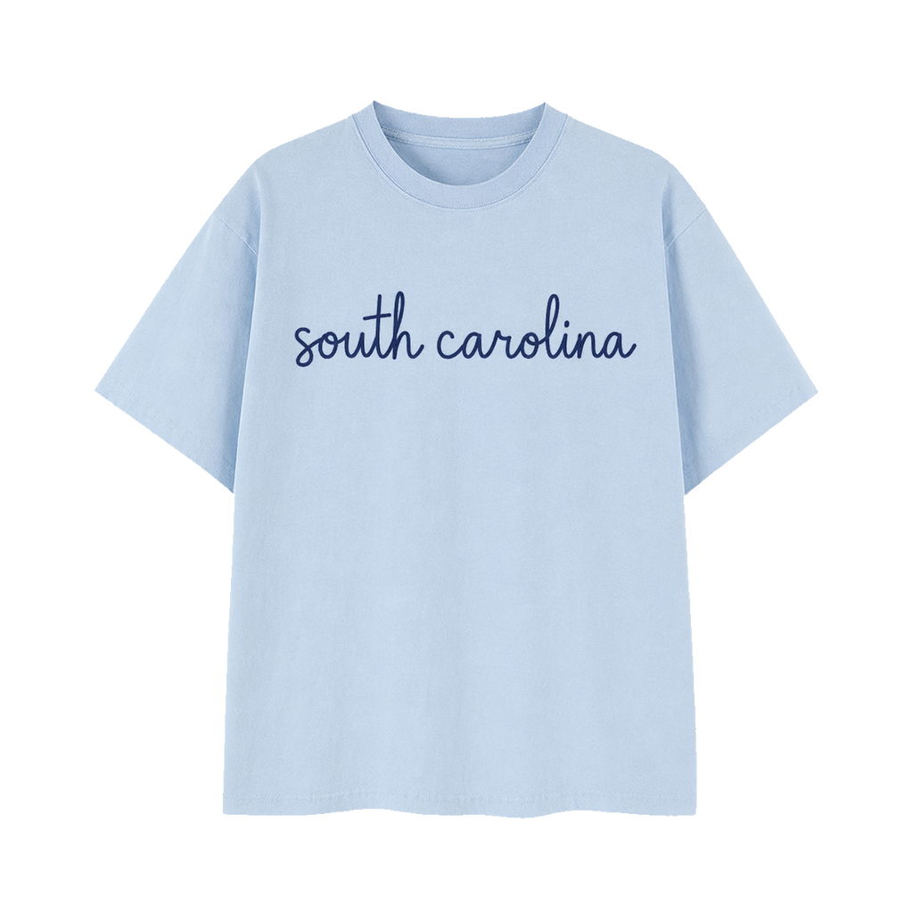 Collection 3 South Carolina Essential Cotton T-Shirt - Light Blue front
