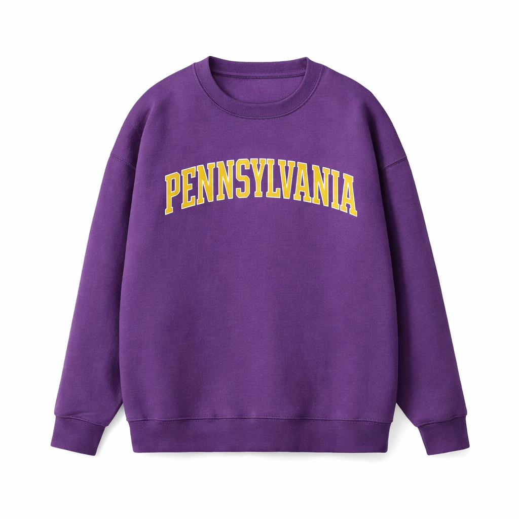 Collection 1 Pennsylvania Essential Heavyweight Crewneck Sweatshirt - Purple front