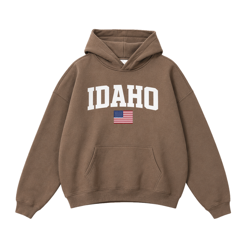 Collection 2 Idaho Oversize Fleeced Hoodie - Brown front