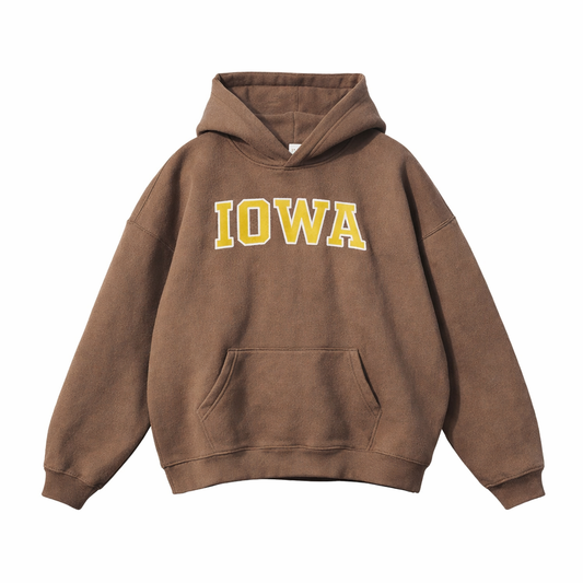 Collection 1 Iowa Oversize Fleeced Hoodie - Brown front