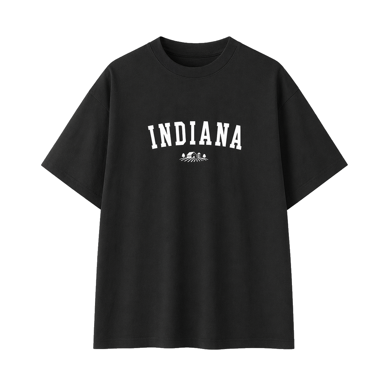 Collection 9 Indiana Essential Cotton T-Shirt - Black front